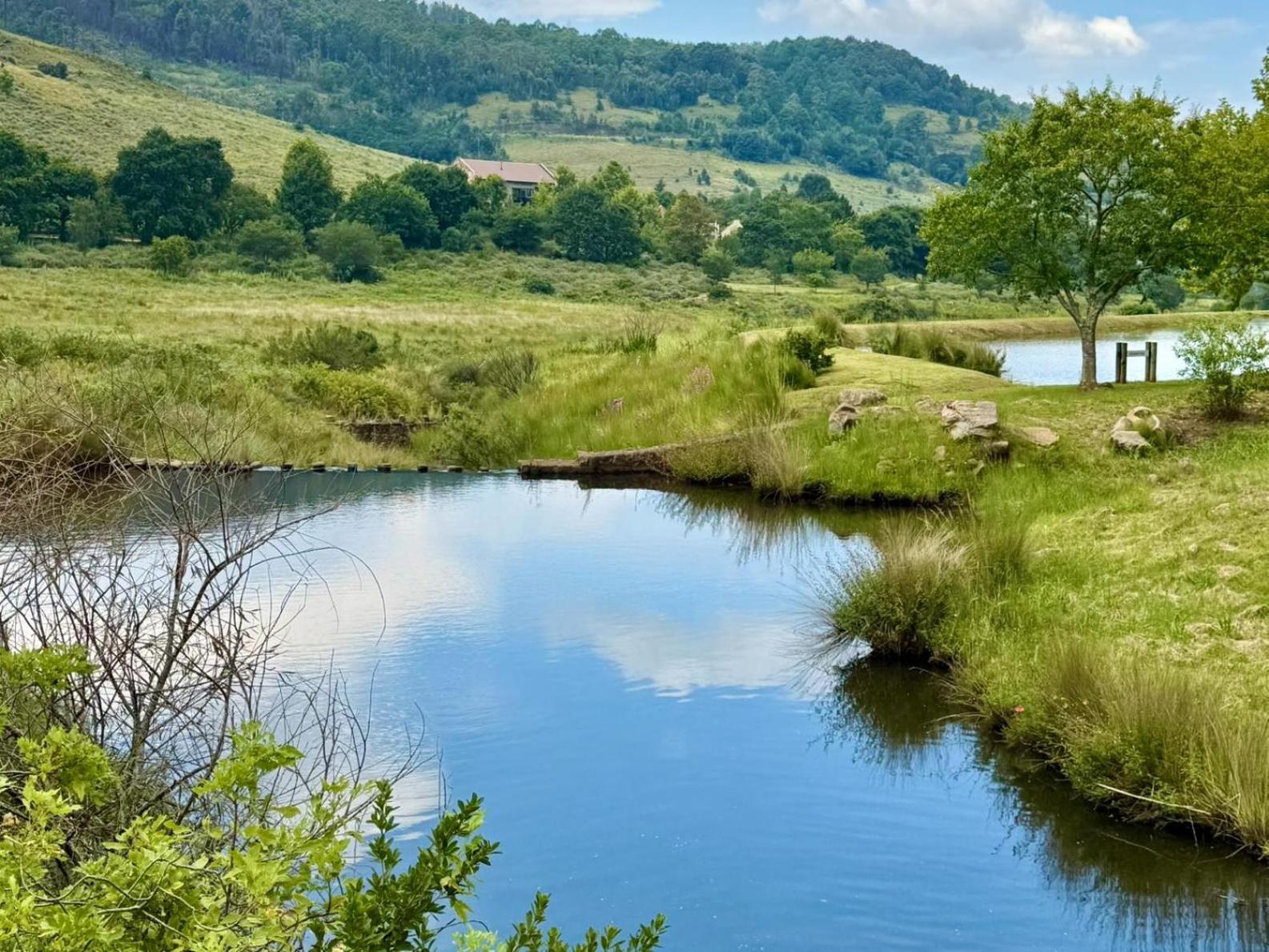 דלסטרום Stone Creek Mountain Lodge מראה חיצוני תמונה