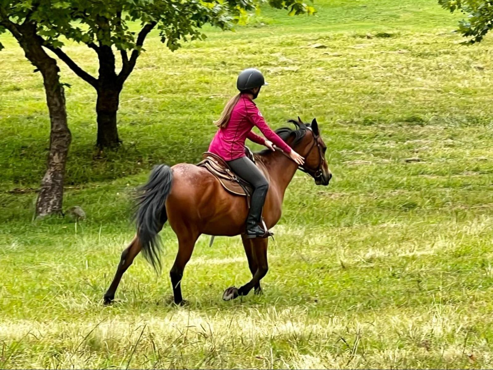 דלסטרום Stone Creek Mountain Lodge מראה חיצוני תמונה